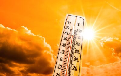 Staying Productive During a UK Heatwave: Smarter Ways to Work and Meet This Summer
